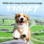 Dispositivo de Controlo de Latidos de Cão com Controlo Remoto, Coleira de Choque Elétrica Recarregável e à Prova de Água, Um para Um, Um para Dois