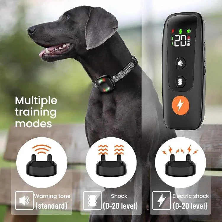 Coleira Automática de Choque para Treino de Cães com Controlo Remoto