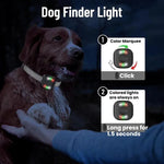 Coleira Automática de Choque para Treino de Cães com Controlo Remoto
