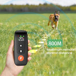 Coleira Automática de Choque para Treino de Cães com Controlo Remoto