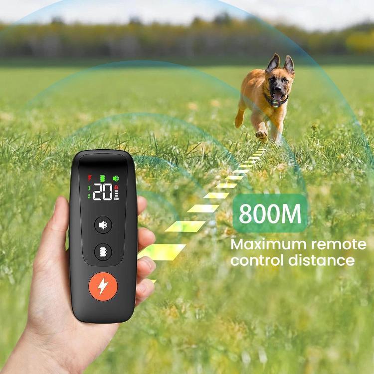 Coleira Automática de Choque para Treino de Cães com Controlo Remoto