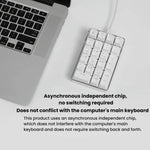 Little Kangaroo DS-9817 Teclado Numérico com Fio Retroiluminado Sem Interruptores para Finanças, Negócios e Bancos, DS-9817