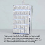 Little Kangaroo DS-9817 Teclado Numérico com Fio Retroiluminado Sem Interruptores para Finanças, Negócios e Bancos, DS-9817