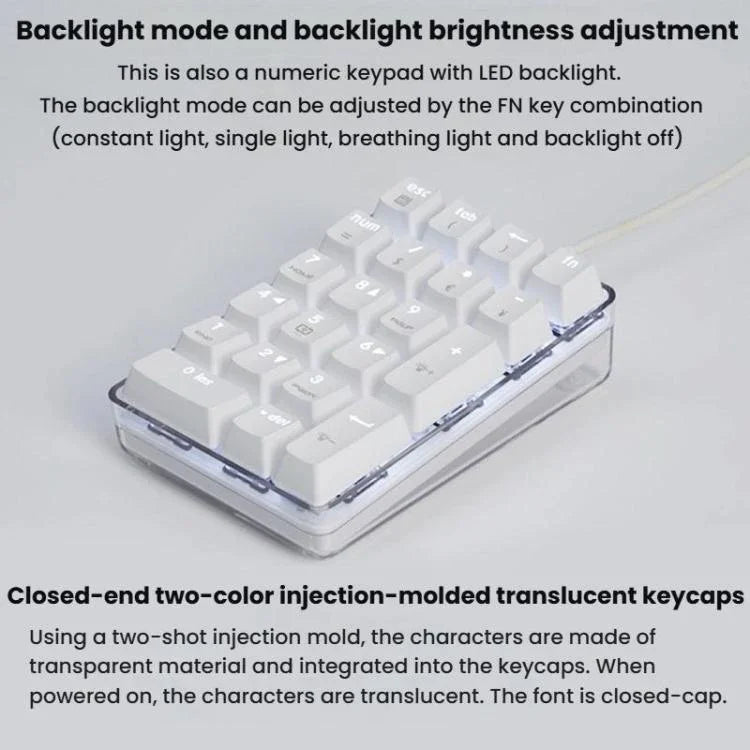 Little Kangaroo DS-9817 Teclado Numérico com Fio Retroiluminado Sem Interruptores para Finanças, Negócios e Bancos, DS-9817