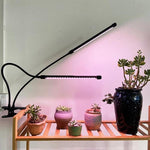 Luz de Crescimento para Plantas com Clip, Espectro Completo, com Controlo Remoto, 2 Cabeças, 3 Cabeças, 4 Cabeças