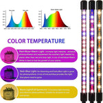 Luz de Crescimento para Plantas com Clip, Espectro Completo, com Controlo Remoto, 2 Cabeças, 3 Cabeças, 4 Cabeças