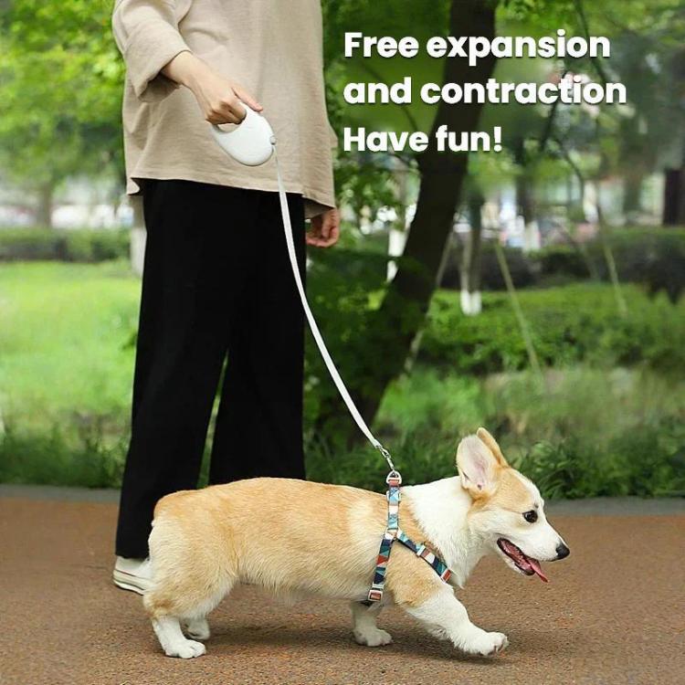 Trela Retrátil para Cães Pequenos e Médios, Sem Emaranhados, Trela para Passeio, 3m, 5m