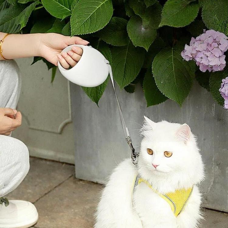 Trela Retrátil para Cães Pequenos e Médios, Sem Emaranhados, Trela para Passeio, 3m, 5m