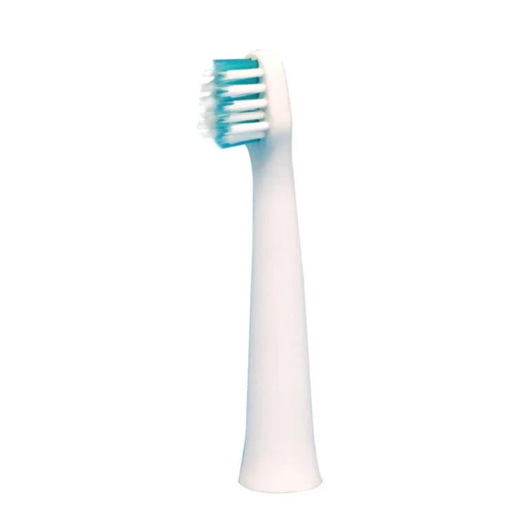 Cabeças de Substituição para Escova de Dentes Elétrica Panasonic Modelos EW-DM71/EW-DM711/EW-DM712/EW-PDM7B/EW-DM31 e Outros, 2pcs WEW0971, 2pcs WEW0972