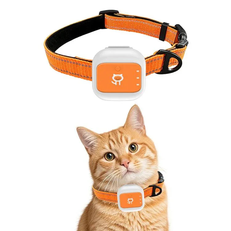 Colar para Animais com Localização GPS/WIFI em Tempo Real, SOS, Cerca Eletrónica de Alerta