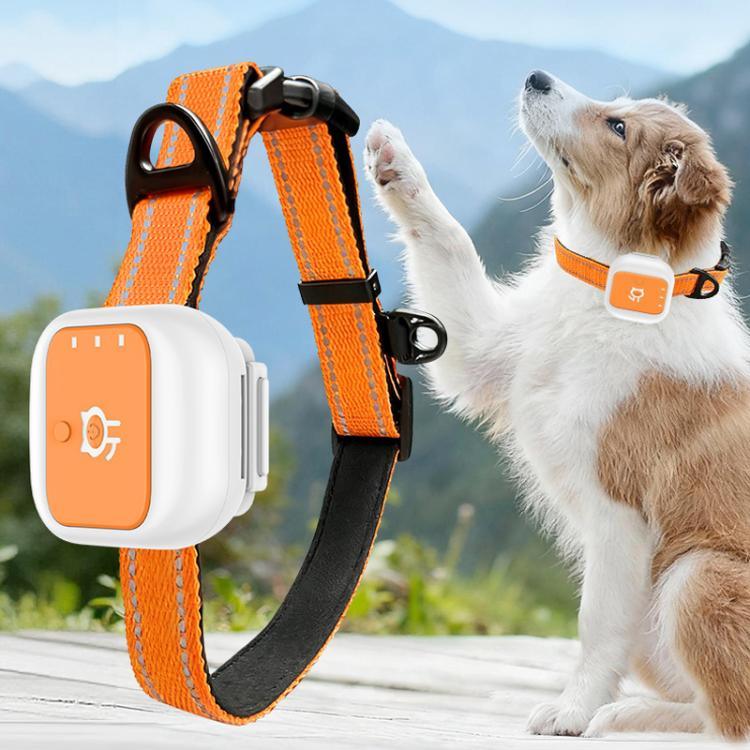 Colar para Animais com Localização GPS/WIFI em Tempo Real, SOS, Cerca Eletrónica de Alerta