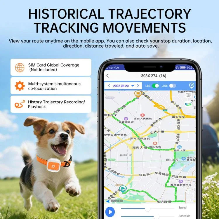 Colar para Animais com Localização GPS/WIFI em Tempo Real, SOS, Cerca Eletrónica de Alerta