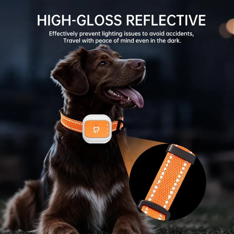 Colar para Animais com Localização GPS/WIFI em Tempo Real, SOS, Cerca Eletrónica de Alerta