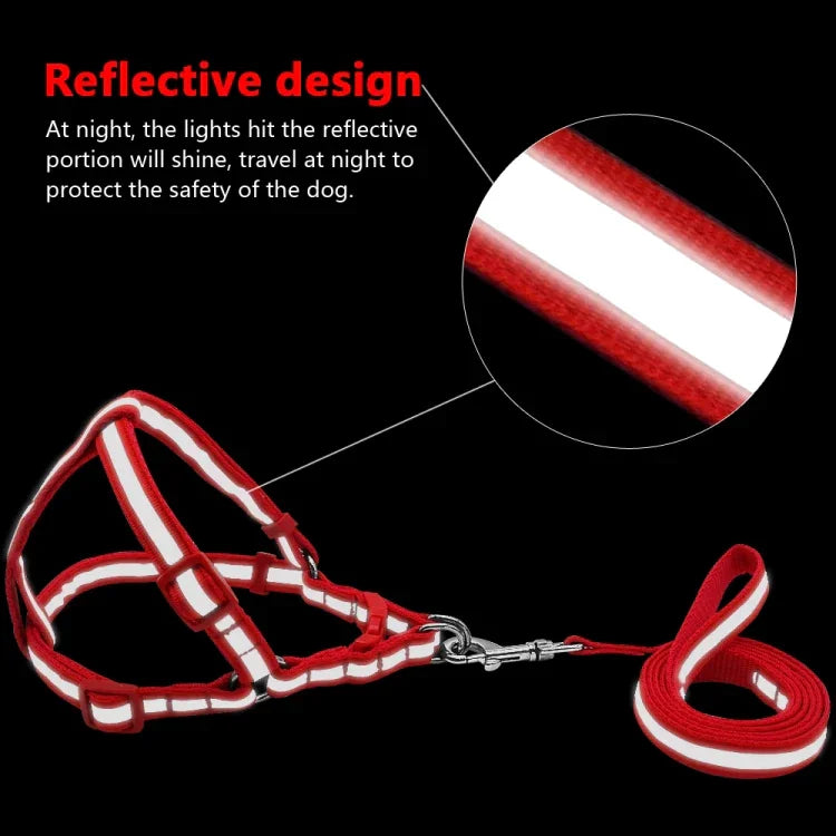 Small Medium Dogs Nylon Reflective Dog Leash Lead Set, S