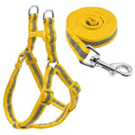 Small Medium Dogs Nylon Reflective Dog Leash Lead Set, S
