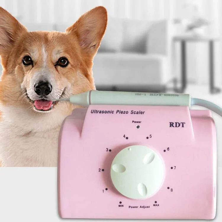 Máquina de Limpeza Dentária Ultrassónica para Remoção de Tártaro em Cães, Plugue CN, Plugue US, Plugue UK, Plugue EU