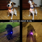 Colar para Cão e Gato com Lanterna LED Pingente Luminoso Decoração Brilhante