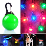 Colar para Cão e Gato com Lanterna LED Pingente Luminoso Decoração Brilhante