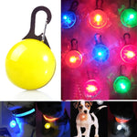 Colar para Cão e Gato com Lanterna LED Pingente Luminoso Decoração Brilhante