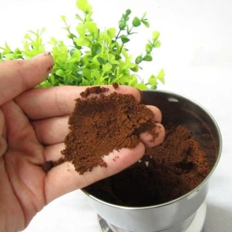 Moedor de Café Multifuncional com Ficha EU, Elétrico em Aço Inoxidável para Ervas/Especiarias/Nozes/Grãos/Grãos de Café, Moedor de Café, Ficha EU