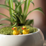 5 Peças Acessórios para Casa de Bonecas Miniatura Decoração de Planta com Pato Amarelo em Resina Tridimensional, Decoração de Planta com Pato Amarelo