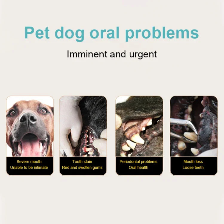 Escova de Dentes Elétrica para Animais, Polidor Dentário, Ferramenta de Limpeza Oral e Remoção de Placa