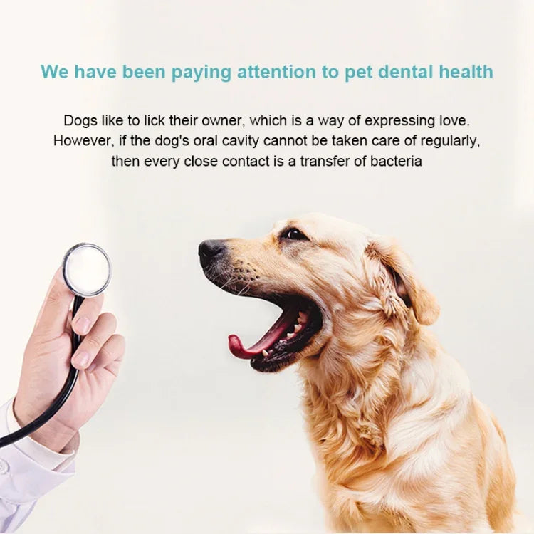 Escova de Dentes Elétrica para Animais, Polidor Dentário, Ferramenta de Limpeza Oral e Remoção de Placa