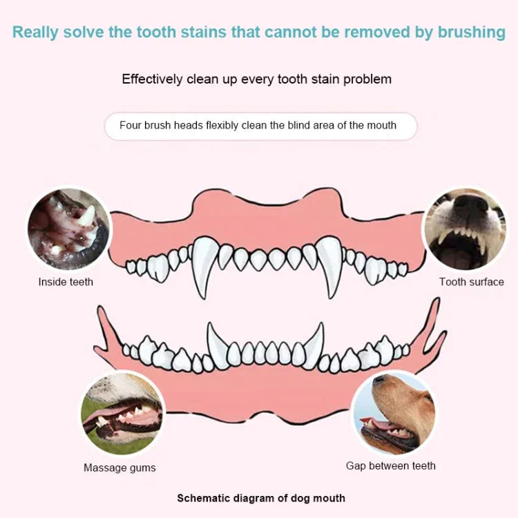 Escova de Dentes Elétrica para Animais, Polidor Dentário, Ferramenta de Limpeza Oral e Remoção de Placa