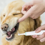 Escova de Dentes Elétrica para Animais, Polidor Dentário, Ferramenta de Limpeza Oral e Remoção de Placa
