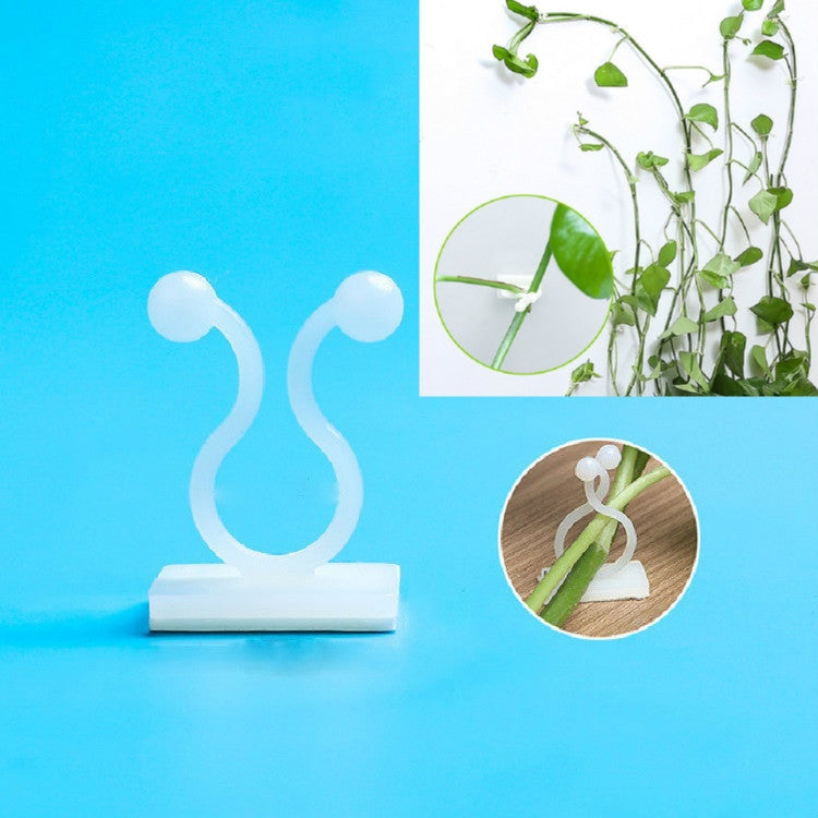10 Fixadores Lulu para Parede de Escalada de Videira, Gancho para Parede de Escalada, 10 unidades Pequenas (Branco), 10 unidades Médias (Branco), 10 unidades Grandes (Branco)