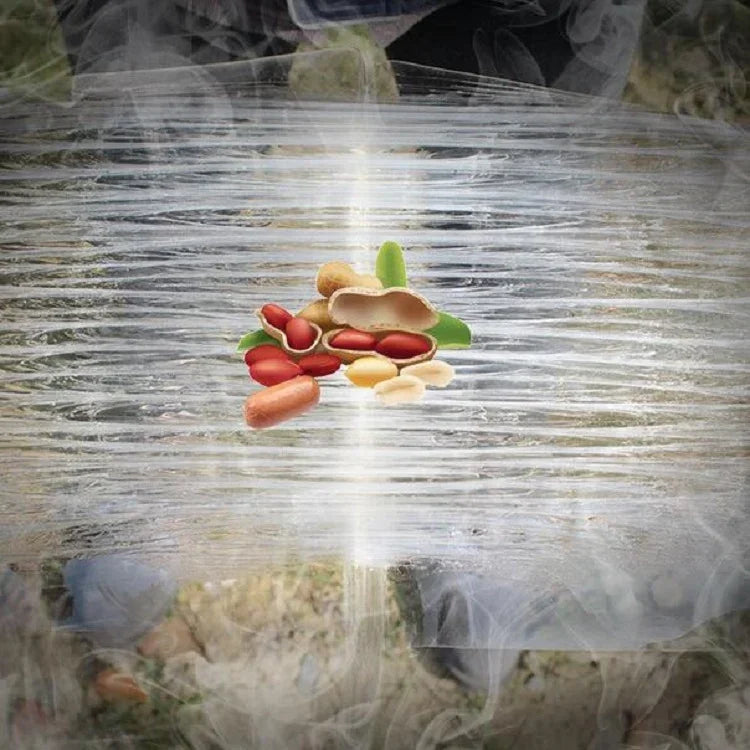 نص بديل للصورة