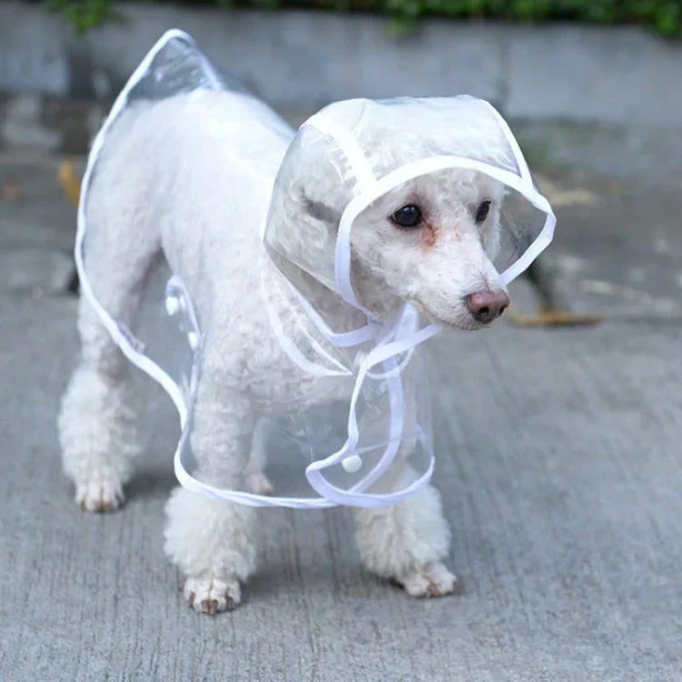 Impermeável Transparente, Casaco de Chuva para Cão, S, M