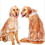 Impermeável Transparente, Casaco de Chuva para Cão, S, M