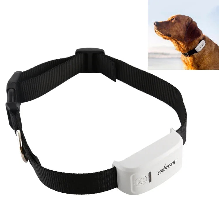 TK-909 Rastreador GPS / GPRS / GSM para Animais de Estimação Colar para Animais Dispositivo de Rastreamento em Tempo Real, TK-909