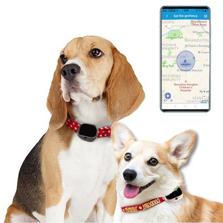 RF-V43 Estilo A Rastreador GPS + LBS + WiFi para Animais de Estimação à Prova de Água IP67 Colar para Animais Dispositivo de Rastreamento Para Ásia/Europa/África/Austrália, RF-V43 Estilo A (Preto), RF-V43 Estilo A (Branco)