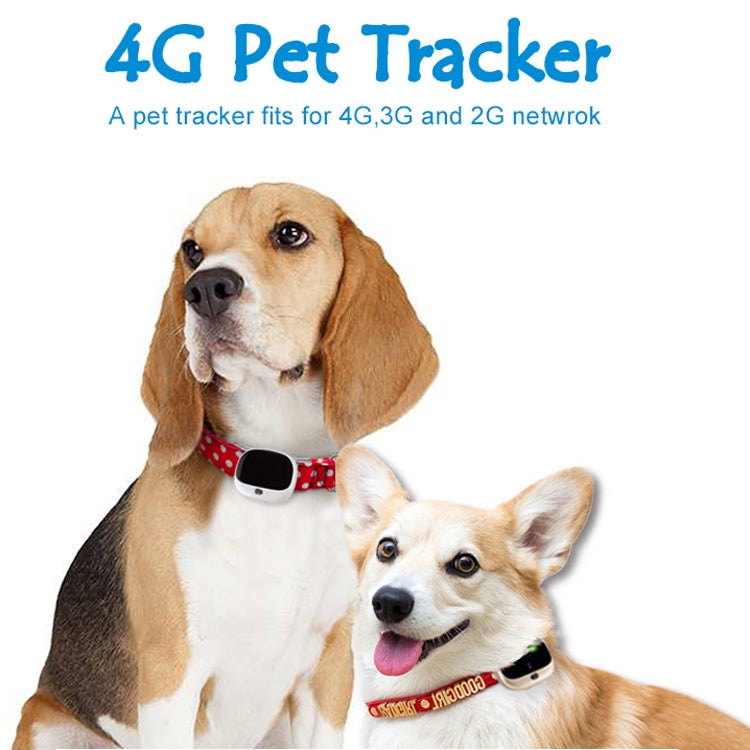 RF-V43 Estilo A Rastreador GPS + LBS + WiFi para Animais de Estimação à Prova de Água IP67 Colar para Animais Dispositivo de Rastreamento Para Ásia/Europa/África/Austrália, RF-V43 Estilo A (Preto), RF-V43 Estilo A (Branco)