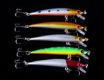 HENGJIA Set056 Conjunto de 56 Peças de Lantejoulas Metálicas para Isco Falso, Isco Fresco para Robalo Marinho, Comprimento: 3 a 10cm, Embalado