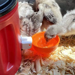 Automatic Chicken Waterer Cups Chicken Water Feeder Random Color - Trustpick