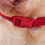 Doglemi Dog Muzzle Pet Supplies Breathable Bark Stopper Muzzle Dog Mouth Cover - Trustpick
