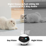 EBO SE 1080P HD Smart Home Companion Robot Remote Monitoring Camera, Support Infrared Night Vision & Two - way Voice & TF Card, US Plug - Trustpick