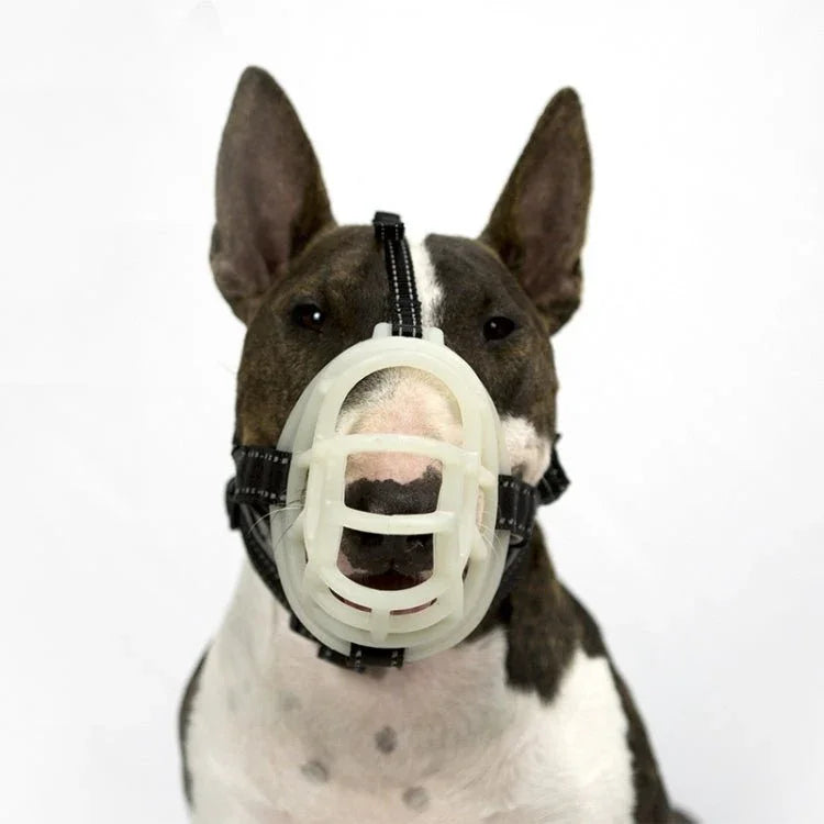 Fluorescent Dog Mouth Cover Pet Masks Anti - Bite And Bark Stopper Pet Supplies - Trustpick