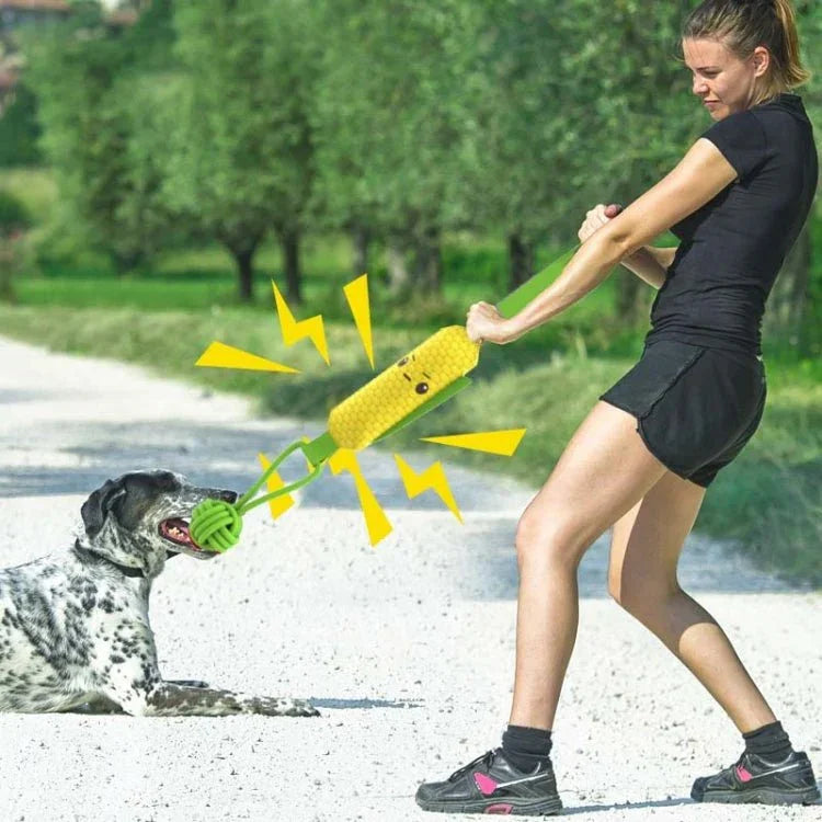 Texto alternativo da imagem