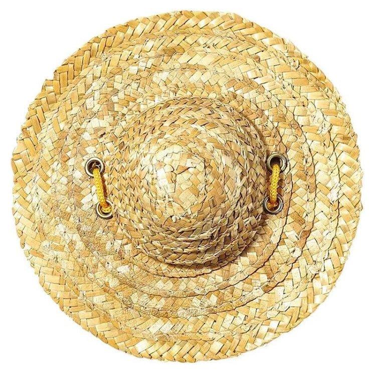 Texto alternativo da imagem