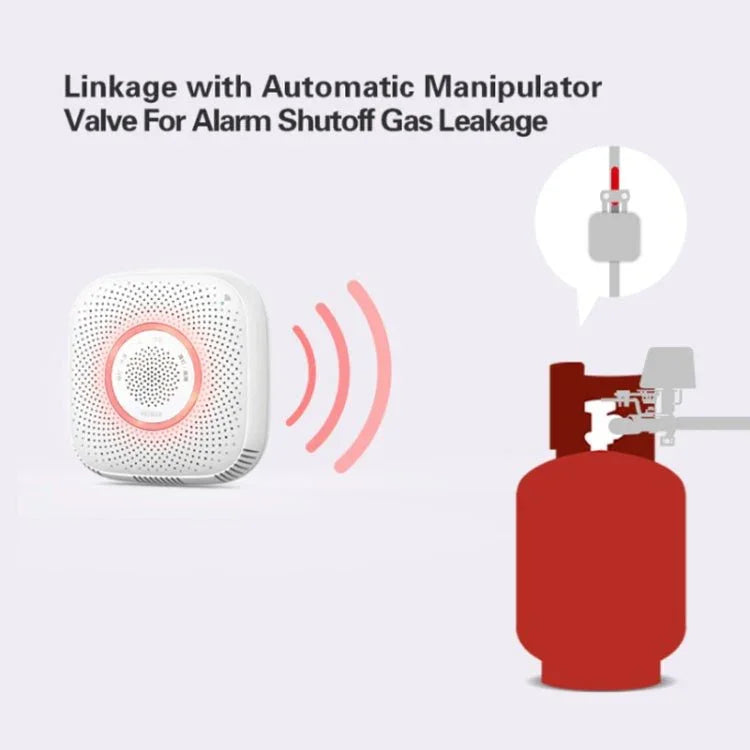 TY - GSA - 87 Smart Home WIFI Gas Detector - Trustpick